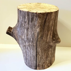 Peut inclure: Une souche d'arbre en bois rustique avec un dessus plat, idéale pour exposer de petits objets ou comme élément décoratif.