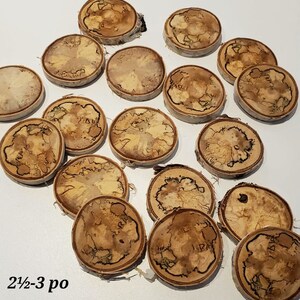 20 Rondelles de bois 2.5 à 3 pouces / bouleaux spalted / Fournitures artisanat / craft wood