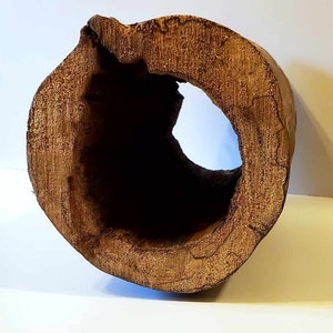 Peut inclure: Une bûche creusée avec une finition en bois naturel. La bûche est brune et a une texture rugueuse. L'intérieur de la bûche est creux et de couleur brun foncé.
