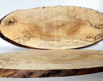 Oval wood slice / spalted maple wood / raw wood