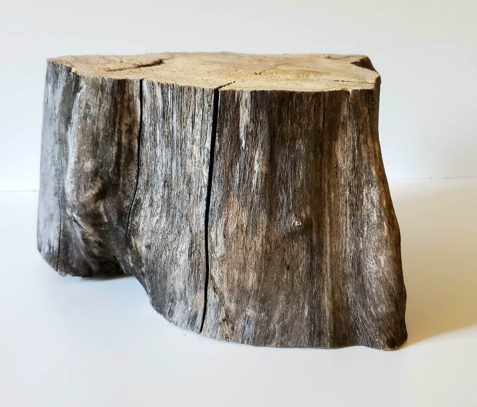 Wooden Log / 8 Inches Diameter / Maple Wood / Log / Decoration / Craft ...