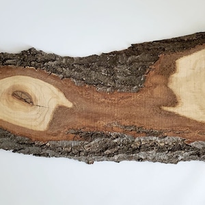 May include: A long, thin piece of wood with bark on one side and a smooth, light brown surface on the other. The wood has a natural, organic look and feel.