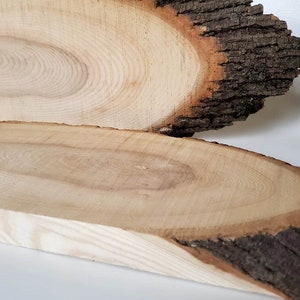 Tranche de bois ovale / wood slice / brut / créer une tablette / Rustique Décor
