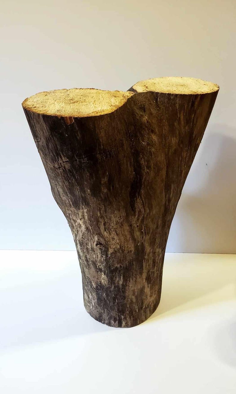 Wood Log / Height 15.5 Inches / Rustic Decoration and Crafts / Natural ...