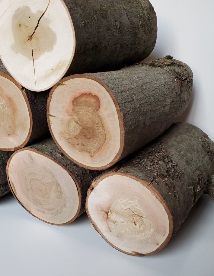4 to 5 Inches in Diameter / Wood Log / Log / Live Edge / Craftsman ...