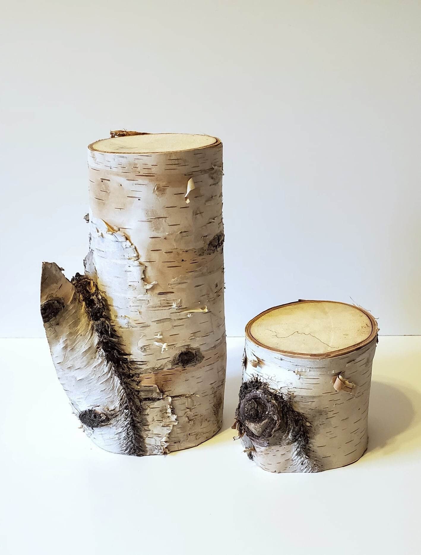 Amish-made Natural Medium White Birch Logs 2 to 3.5 Diameter Logs
