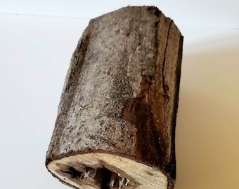 Puede incluir: Un tronco de madera áspero, marrón, con textura de corteza natural y un agujero en el centro.
