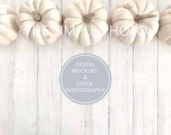 Fall Stock Photo, Harvest Photo Mockup, Autumn Background, Blank Fall Sign, Pumpkin Photo, Pumpkin Mockup, Stock Photography, Autumn Photo