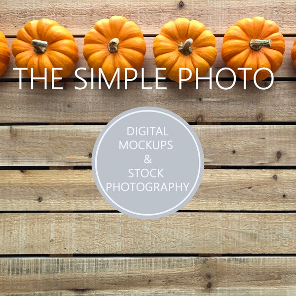 Fall Stock Photo, Harvest Photo Mockup, Autumn Background, Blank Fall Sign, Pumpkin Photo, Pumpkin Mockup, Stock Photography, Autumn Photo