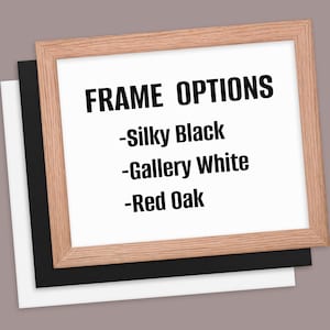 This image showcases the frame options we offer for our prints: Silky Black, Gallery White and Red Oak.