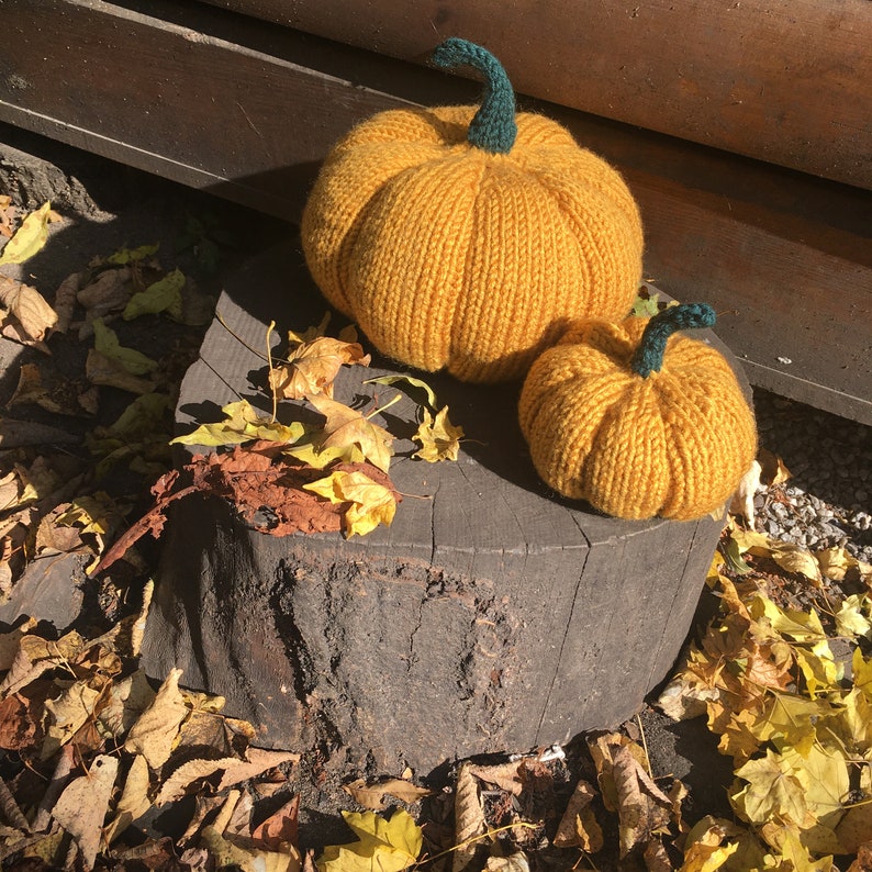 May include: Two knitted pumpkins, one large and one small, are sitting on a tree stump. The larger pumpkin is yellow with a green stem and the smaller pumpkin is yellow with a brown stem. Both pumpkins are surrounded by fallen autumn leaves.