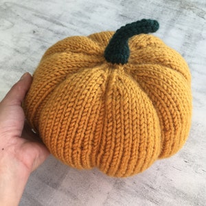 May include: A knitted pumpkin with a green stem. The pumpkin is a light orange color and has a textured surface.