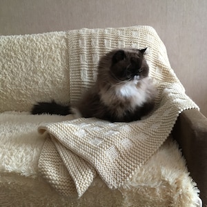 May include: A brown and white cat sitting on a cream-colored knitted blanket on a couch. The blanket has a checkered pattern.