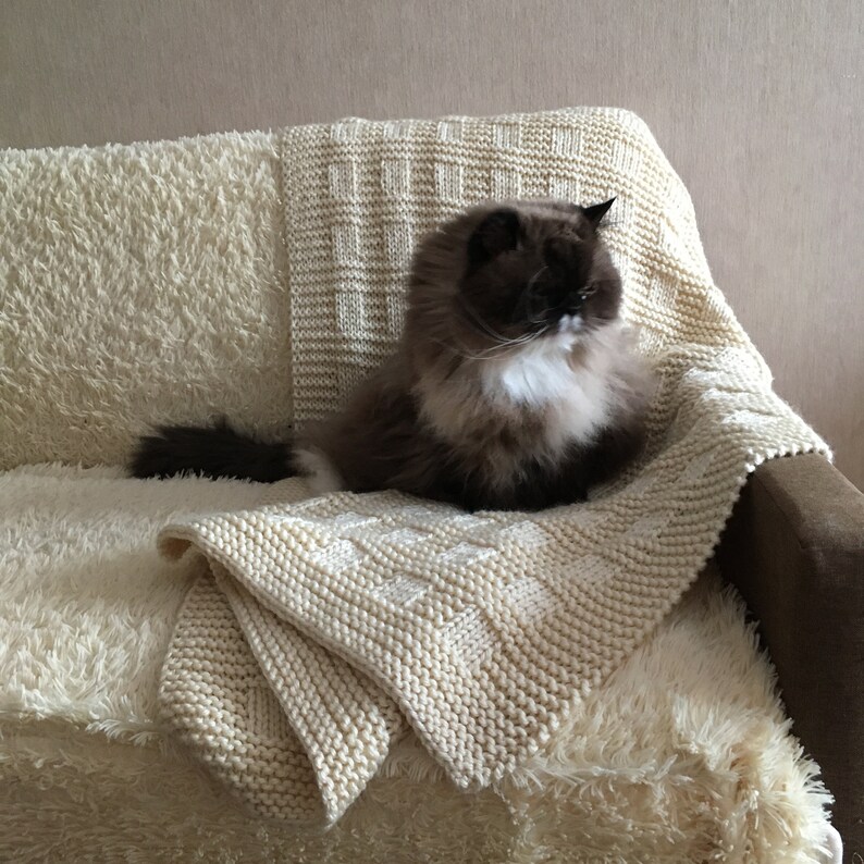 May include: A brown and white cat sitting on a cream-colored knitted blanket on a couch. The blanket has a checkered pattern.
