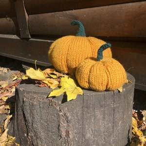 May include: Two knitted pumpkins, one large and one small, are sitting on a tree stump. The pumpkins are a bright orange color and have a green stem.