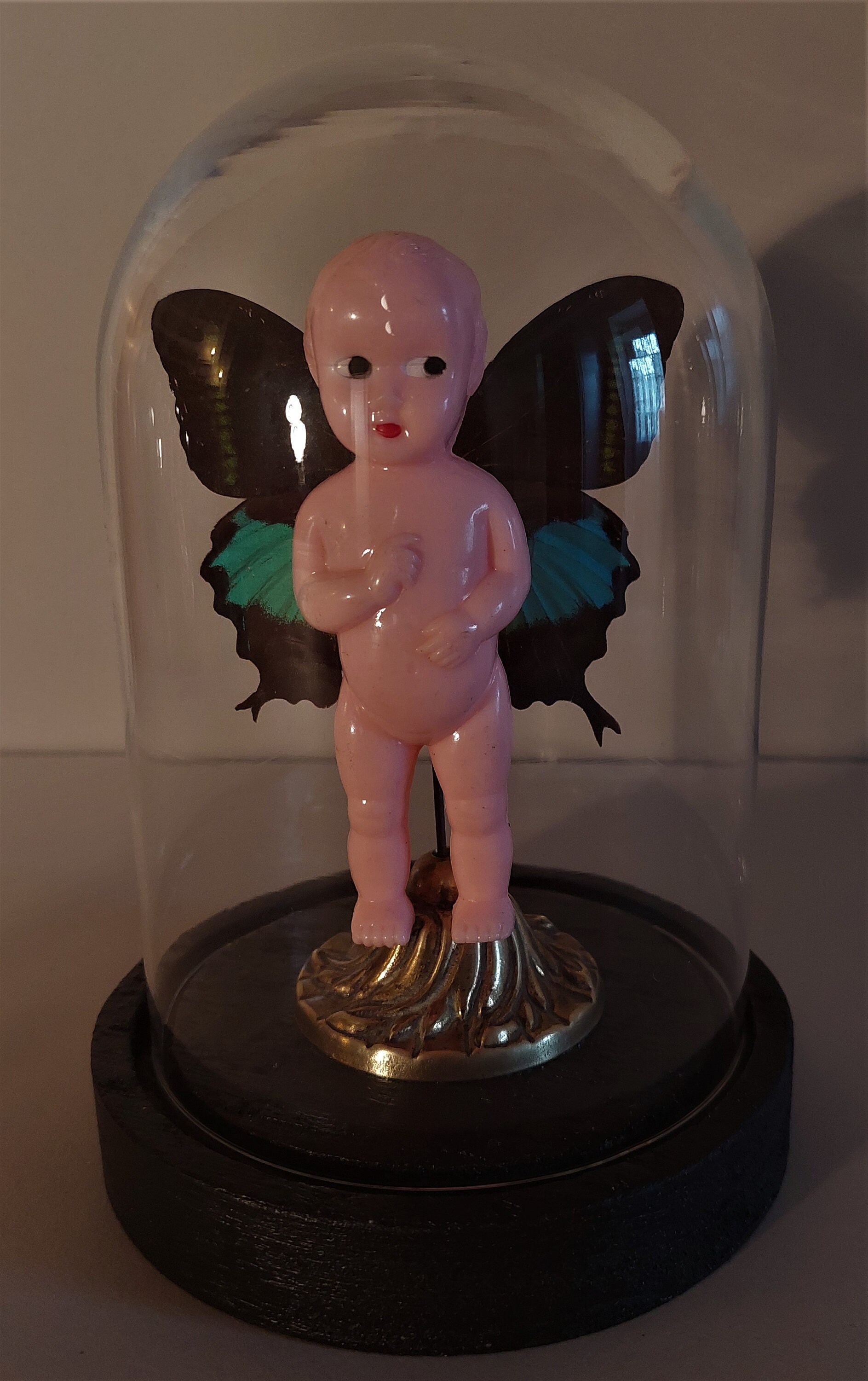 Cabinet de Curiosités Globe avec Poupon Papillon Papilio Paris Arjuna