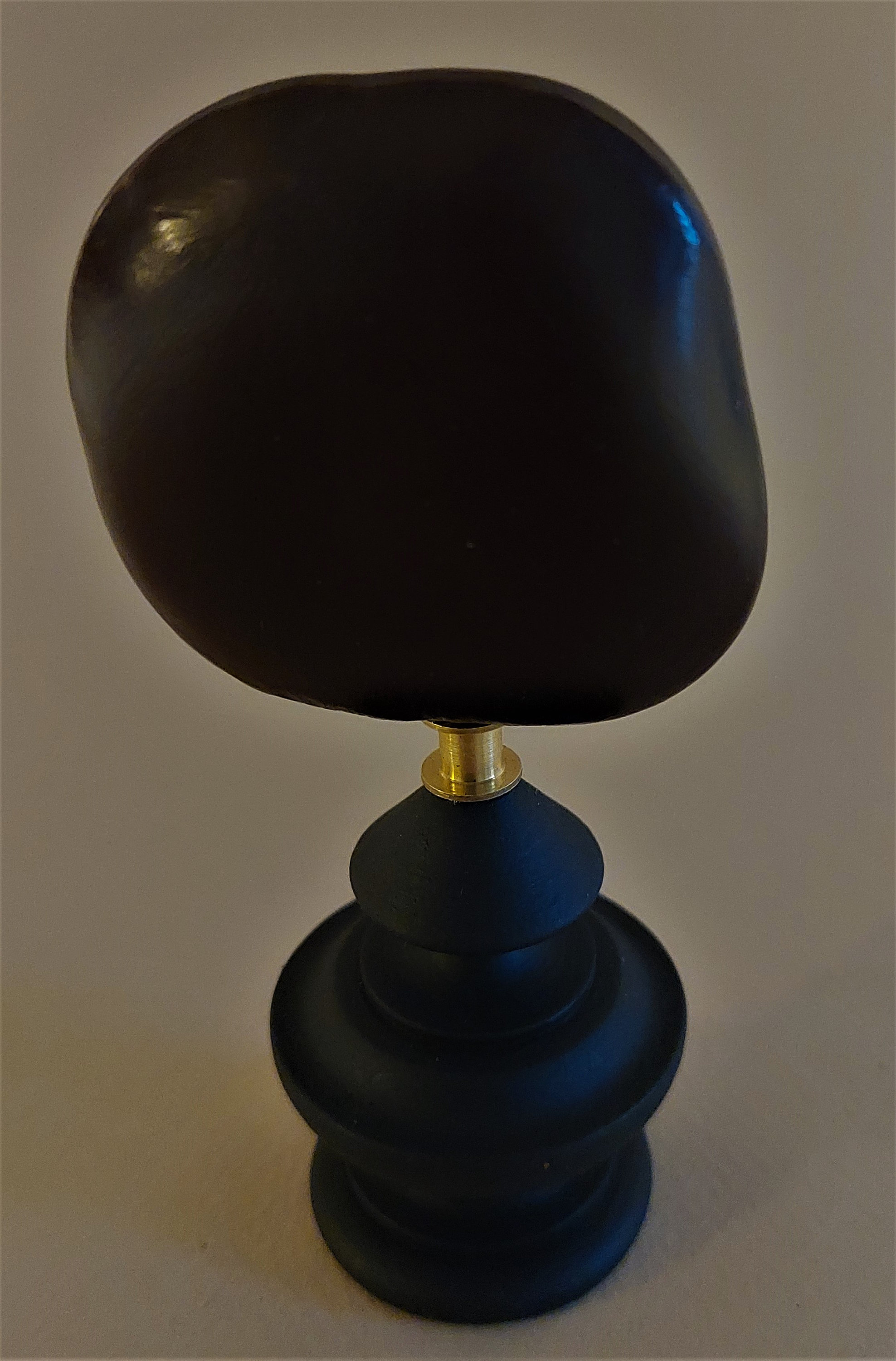 Cabinet de Curiosités Graine Wawa Entada Rheedii sur Socle