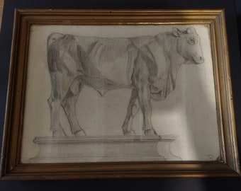 Graphite drawing academic study the bull