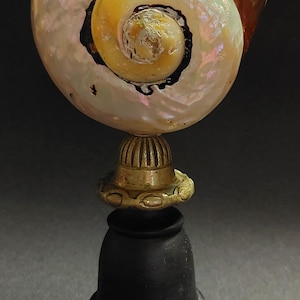 Op de afbeelding: Een decoratieve sculptuur met een parelmoer schelp bovenop een messing en zwarte basis. Het spiraalvormige ontwerp van de schelp toont iriserende kleuren, met een donker, contrasterend centrum. De basis heeft een gedetailleerd, sierlijk ontwerp.