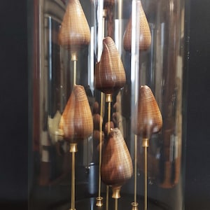 May include: A glass cloche with a black base, displaying several wooden, cone-shaped objects on brass stems. The objects have a detailed, woven texture. The arrangement is decorative and visually striking.