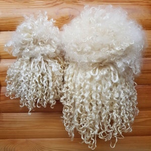 Teeswater Locks Wool, Long Doll Hair Curly Undyed Fleece for Felting, Spinning, Gnome Santa beards 0.7oz/ 20 grams