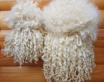 Teeswater Wool Locks: Natural Curly Fleece for Felting & Doll Hair