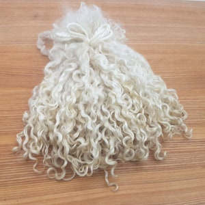 Teeswater Locks Wool, Long Doll Hair Curly Undyed Fleece for Felting, Spinning, Gnome Santa beards 0.7oz/ 20 grams