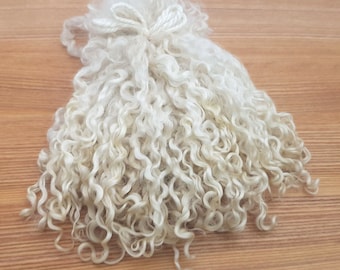 Teeswater Locks Wool, Long Doll Hair Curly Undyed Fleece for Felting, Spinning, Gnome Santa beards 0.7oz/ 20 grams