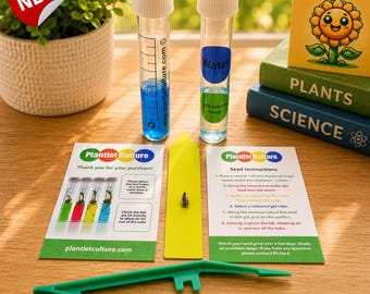 Projet de jardinage STEM pour les salles de classe - Tournesol