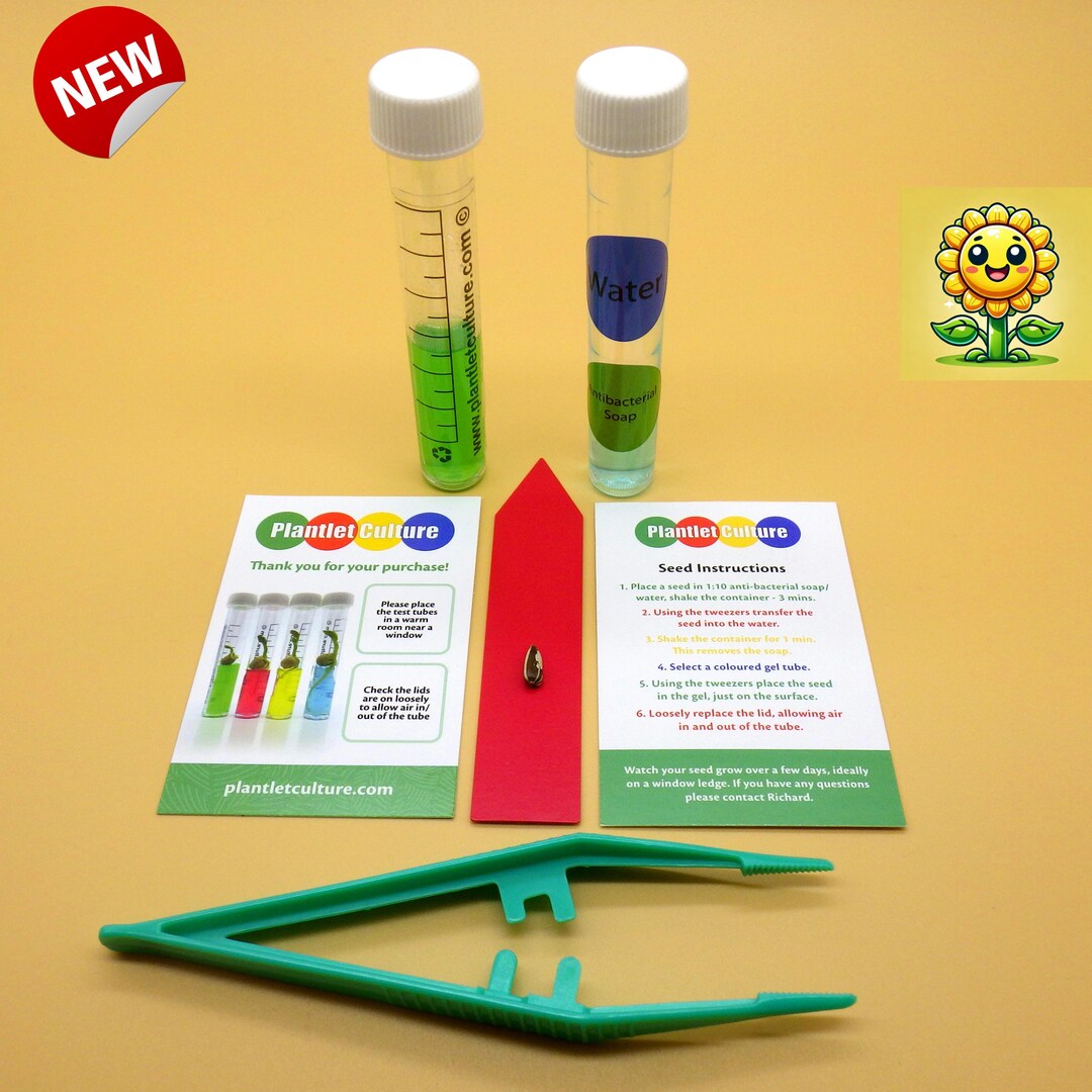 Sunflower Grow Kit Party Favors: Kids Birthday, Unique Test Tube Filler ...