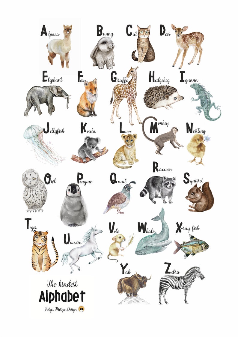 Английский алфавит с картинками животных