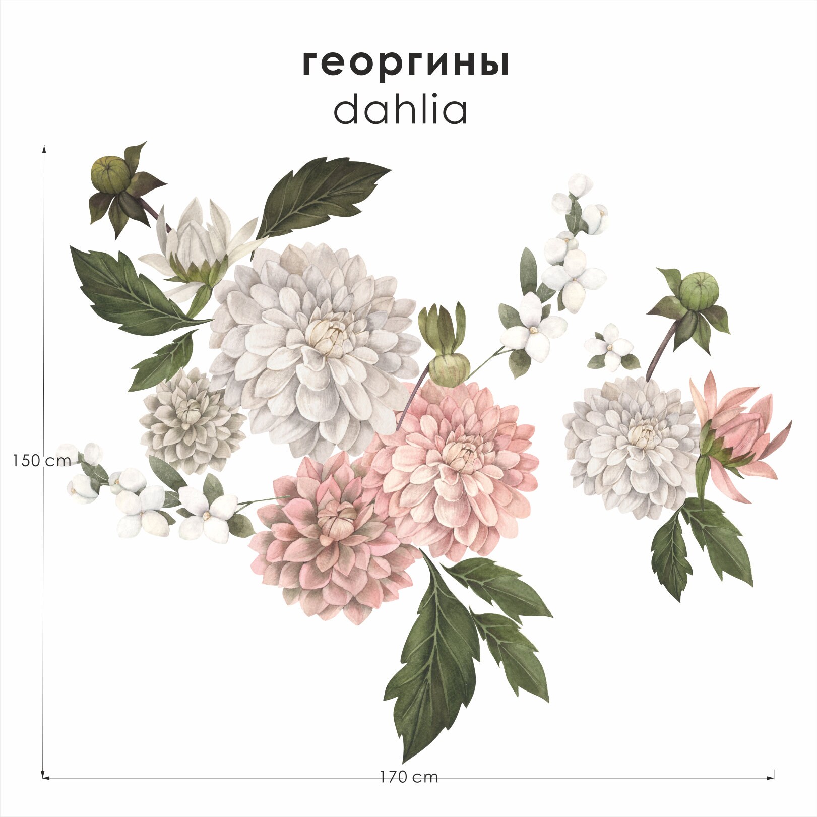 Dahlia Flower Wall Decals Jasmine Flowers Wall Art Etsy