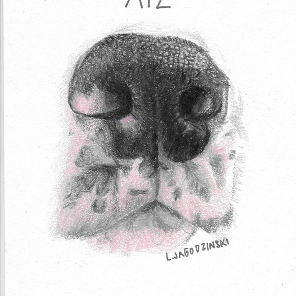 Pet Memorial Dog Nose and Paw Print Etsy
