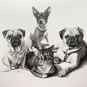 Custom Pet Portraits From Photos | Dog & Cat Portrait | Multi Pet Portraits | Pet Memorial | Pet Loss Gift | Realistic Pet Pencil Drawings