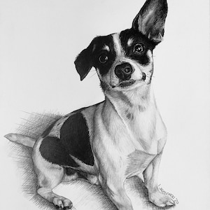 Custom Pet Portraits From Photos | Dog & Cat Portrait | Multi Pet Portraits | Pet Memorial | Pet Loss Gift | Realistic Pet Pencil Drawings