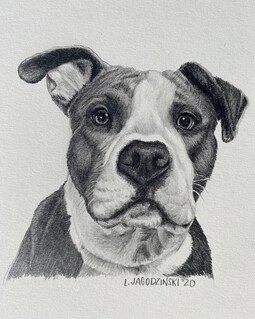 Custom Pet Portrait: Hand-Drawn Realistic Pencil Art By ArtByLeslee Made by ArtByLeslee 7 years on Etsy