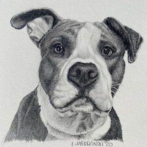 Custom Pet Portraits From Photos | Dog & Cat Portrait | Multi Pet Portraits | Pet Memorial | Pet Loss Gift | Realistic Pet Pencil Drawings