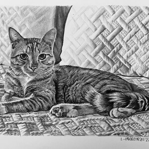 Custom Pet Portraits From Photos | Dog & Cat Portrait | Multi Pet Portraits | Pet Memorial | Pet Loss Gift | Realistic Pet Pencil Drawings