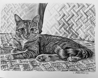 100% Hand Drawn &  Customized Pet Portraits, Custom pet drawing, custom pet portrait,  , dog portrait,  cat portrait, multi pet portraits