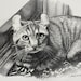Inhaber:in von <a href='https://www.etsy.com/ch/shop/ArtByLeslee?ref=l2-about-shopname&from_page=listing' class='wt-text-link'>ArtByLeslee</a>