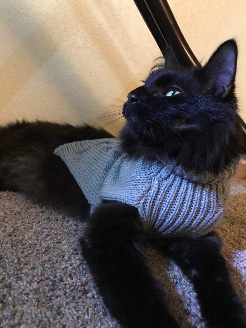 Cat Knitted Warm Sweater for Cats Outfit Jumper Cozy Winter Etsy
