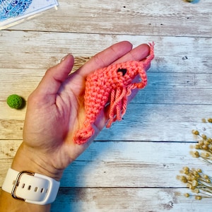 May include: A crocheted pink shrimp with black eyes. The shrimp is held in a person's hand.