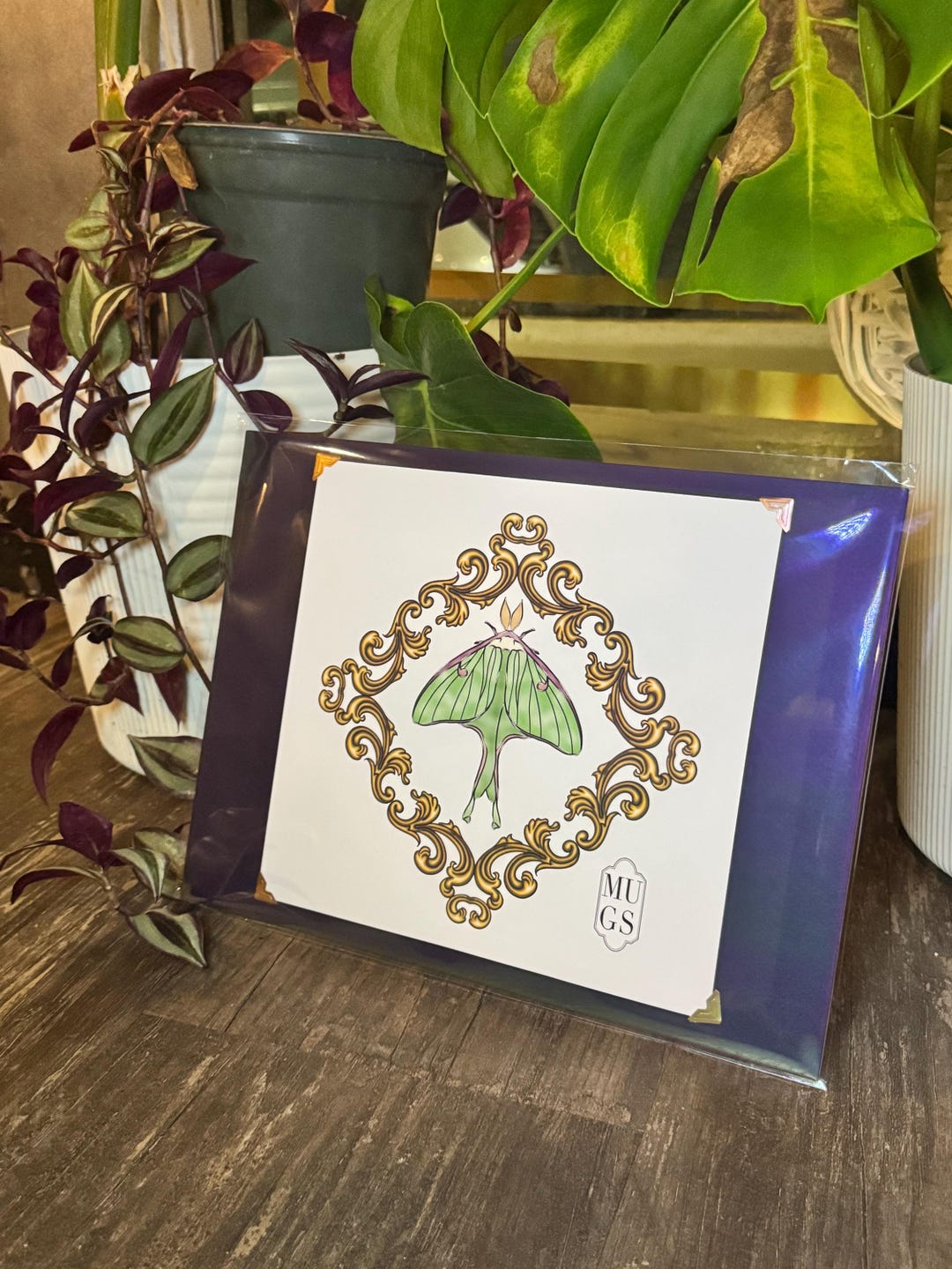 Luna Moth Art Print | Gold Baroque Frame, Witchy Wall Decor - Etsy