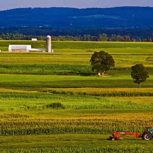 A beautiful landscape picture of a farmer driving his tractor while cutting grass for hay in a summer field in Pennsylvania.