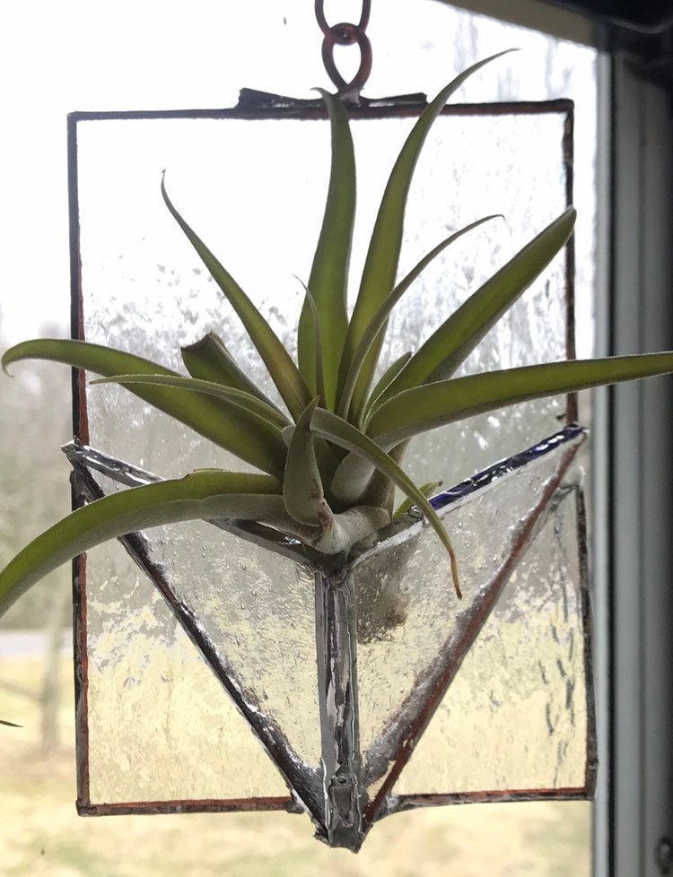 Stained Glass Air Plant Holder Large Version. Etsy