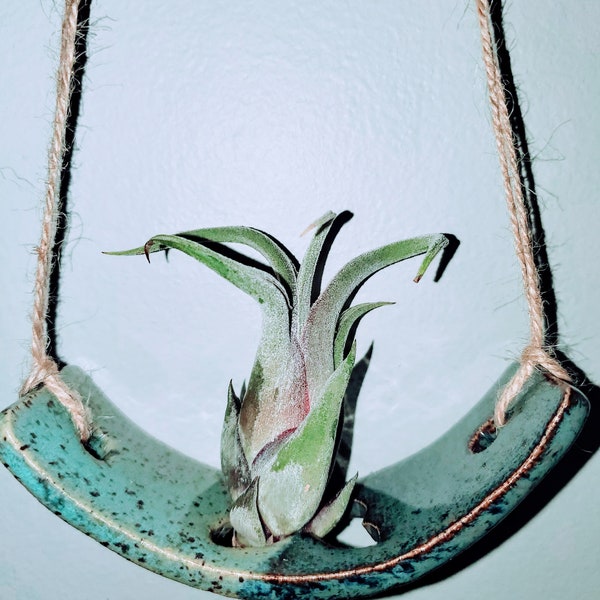 Hanging Airplant Cradle - Minimalist style Clay