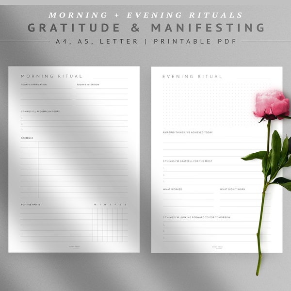 Daily Gratitude Journal Template, Law of Attraction Planner, Morning Ritual Book, Evening Ritual, Daily Routine Printable, Manifesting, PDF