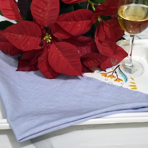 Pure Cotton Napkins 50 Pack Of Natural Cotton Napkin Sky Blue For Dining Or Everyday Meals At Home/Wedding/Party Table Décor Kitchen Napkins