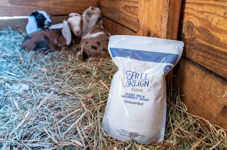 Goat Milk Laundry Soap Natural Laundry Soap that actually works laundry powder powerful goat milk soap for clothes stain removal immagine 7