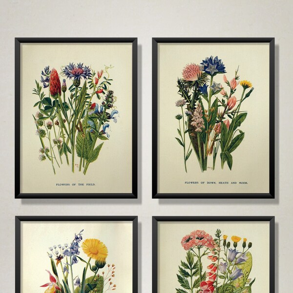 Cheap Field & Wood Flowers — Printable Plant Art — Instant Download